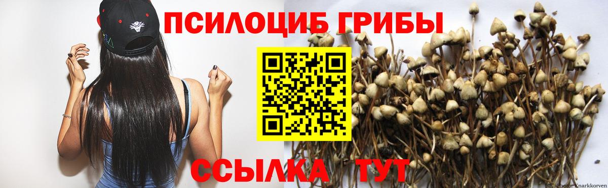 Псилоцибиновые грибы Psilocybe  Вход с VPN  Нефтеюганск  Псилоцибиновые грибы ЛСД 